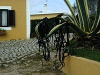 The scenery isn't just pretty, it's useful!  (These are some bridles.)