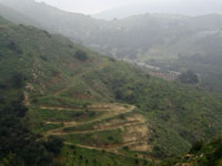 Switchbacks