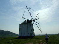 We also walked to this windmill a couple of times.